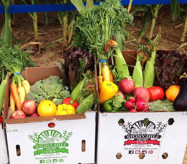 Farm Share Examples - Jersey Fresh Fruits and Vegetables