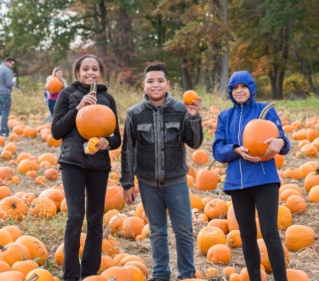 Pumpkin picking at Stony Hill Farms - Chester, NJ