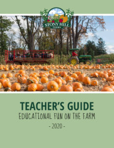 Teacher's Guide 2020