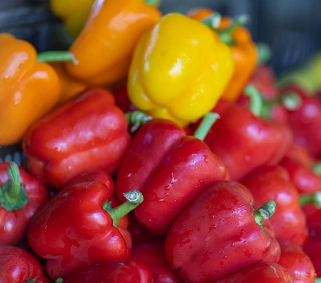 market-produce-peppers-multicolor