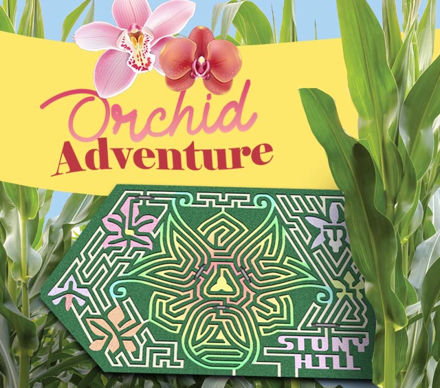 2021 Corn Maze Theme: Orchid Adventure