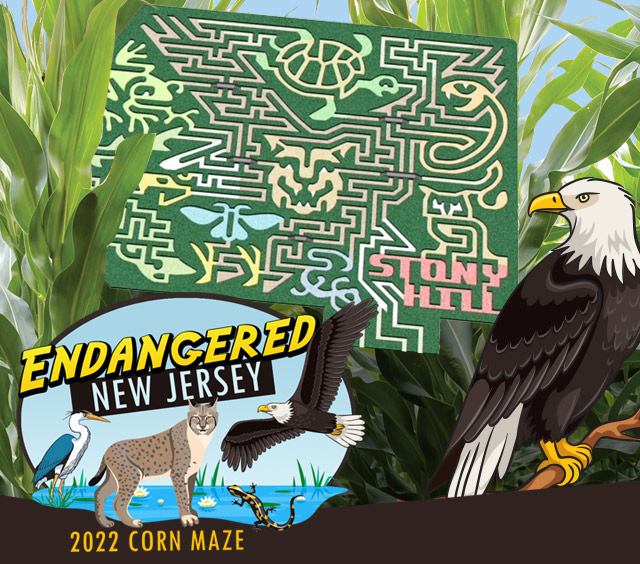 2022 Corn Maze Theme: Endangered NJ