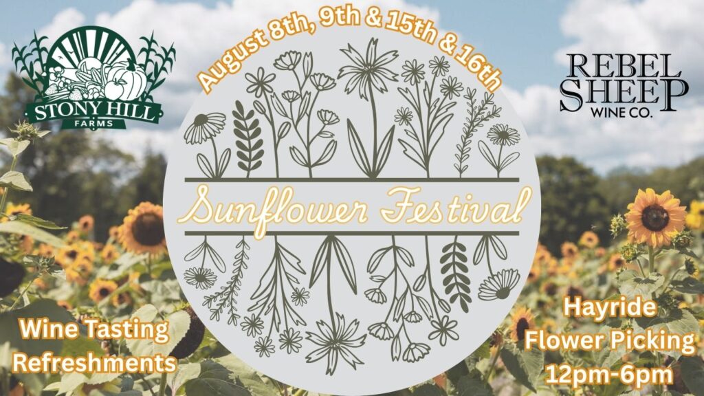 Sunflower Festival 2026 at Stony Hill Farms