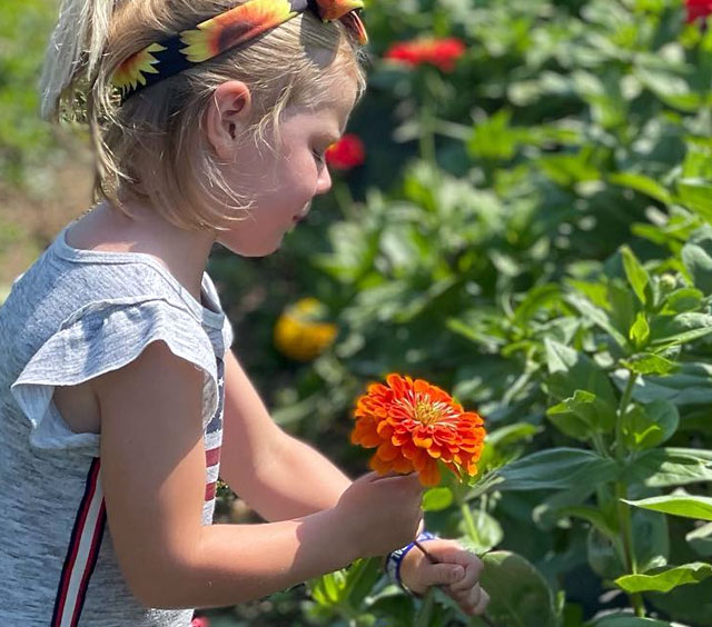 Public Flower Picking Days at Stone Lake Farms — Together We Heal